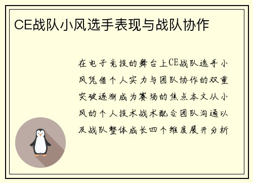 CE战队小风选手表现与战队协作