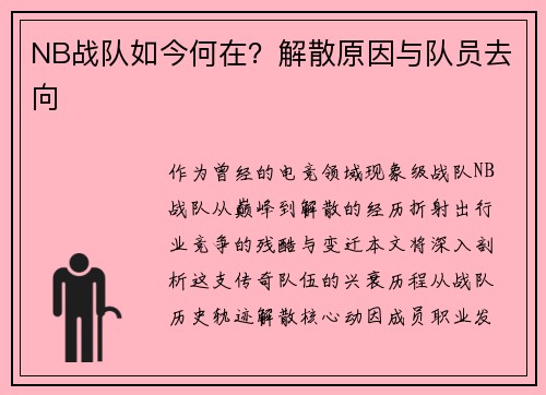 NB战队如今何在？解散原因与队员去向